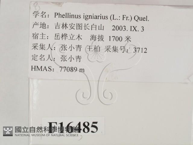 登錄號:F0016485藏品圖，第2張