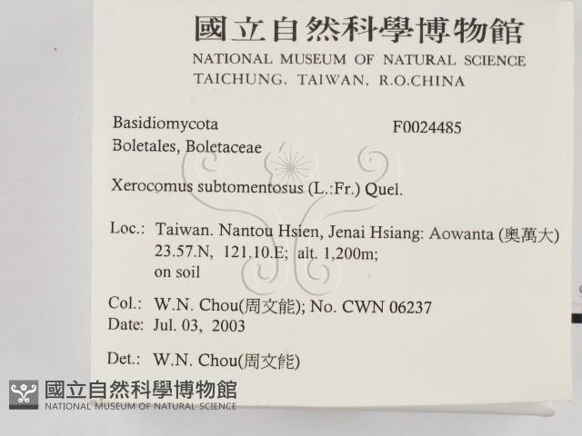 登錄號:F0024485藏品圖，第2張