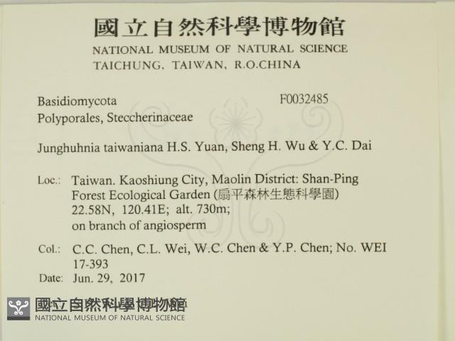 登錄號:F0032485藏品圖，第2張