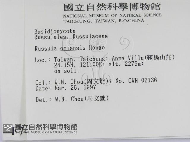 登錄號:F0007485藏品圖，第2張