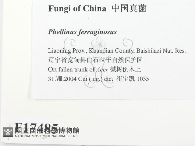登錄號:F0017485藏品圖，第2張