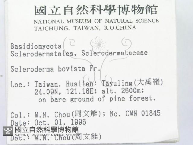 登錄號:F0005485藏品圖，第2張