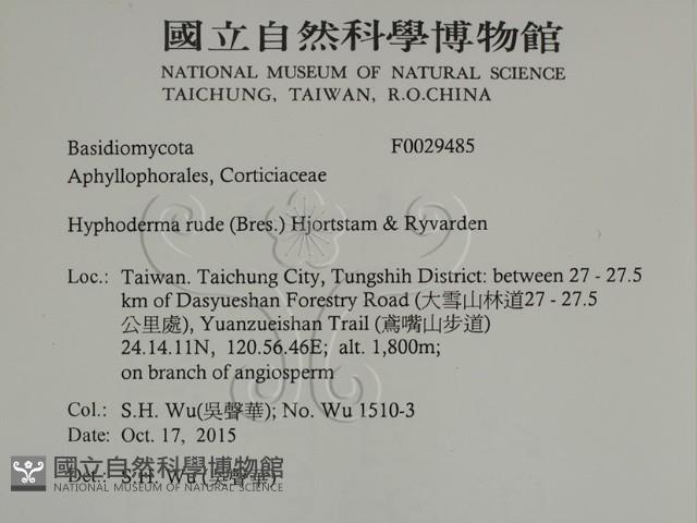 登錄號:F0029485藏品圖，第2張