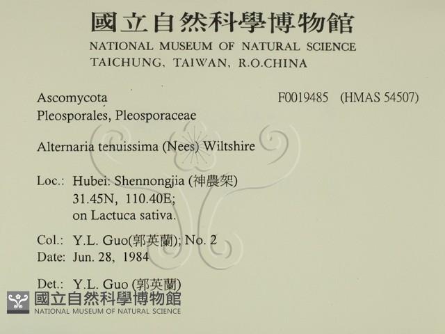 登錄號:F0019485藏品圖，第2張