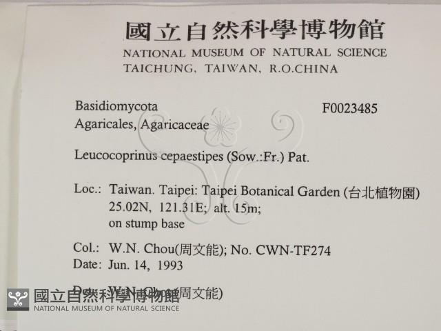 登錄號:F0023485藏品圖，第2張