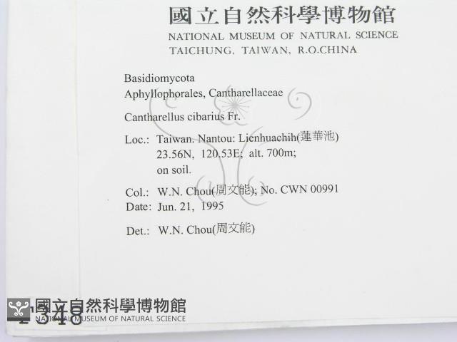 登錄號:F0003485藏品圖，第2張