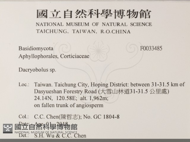 登錄號:F0033485藏品圖，第2張