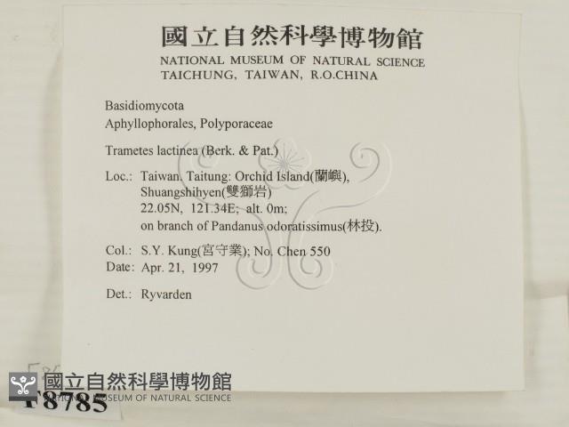 登錄號:F0008785藏品圖，第2張