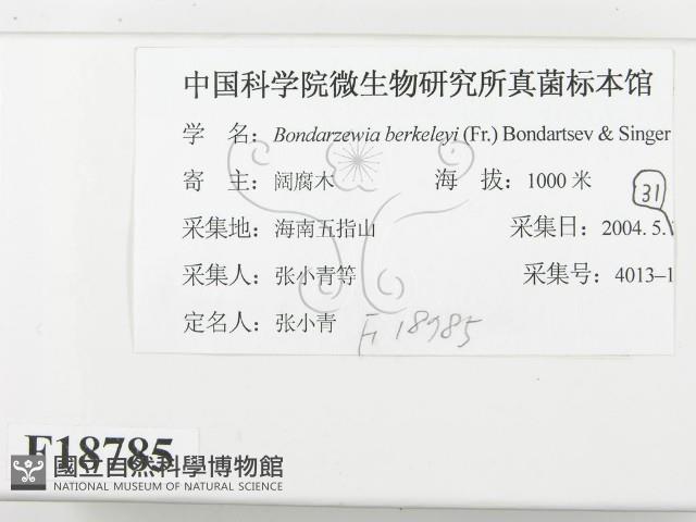 登錄號:F0018785藏品圖，第2張