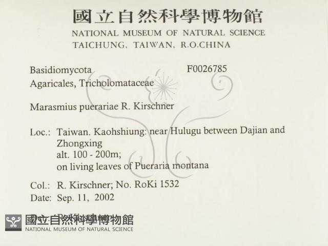 登錄號:F0026785藏品圖，第2張