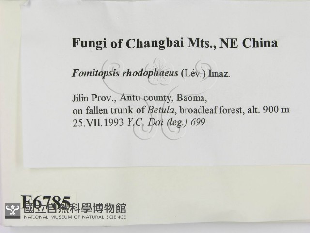 登錄號:F0006785藏品圖，第2張