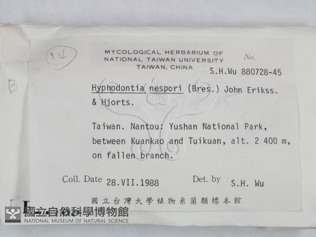 登錄號:F0021785藏品圖，第2張