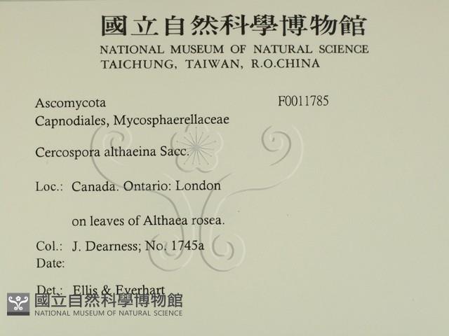 登錄號:F0011785藏品圖，第2張