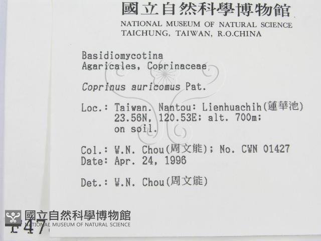 登錄號:F0004785藏品圖，第2張