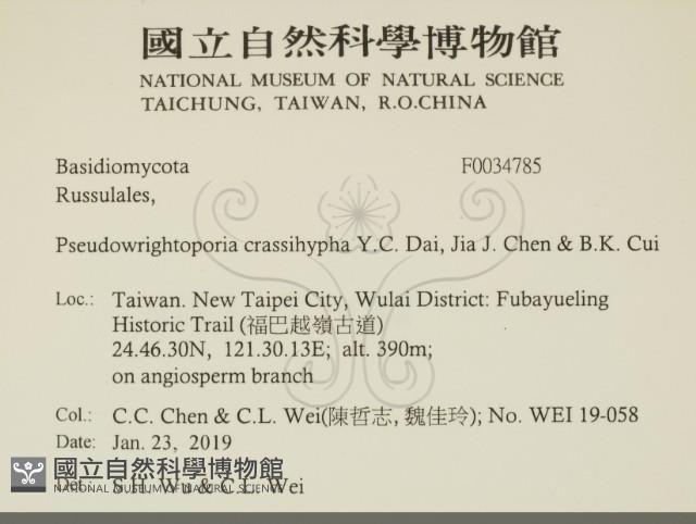 登錄號:F0034785藏品圖，第2張