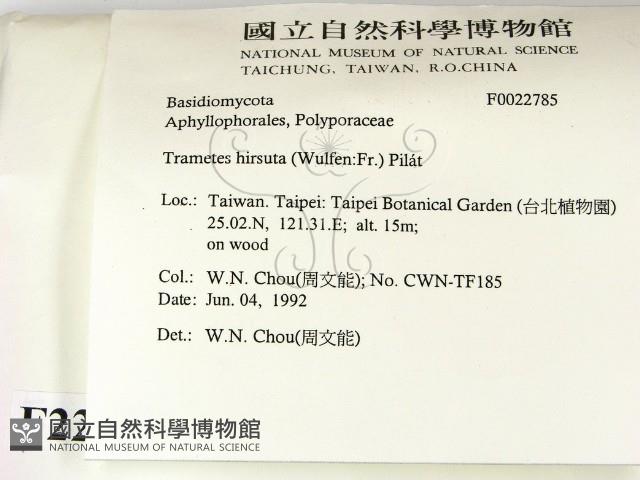 登錄號:F0022785藏品圖，第2張