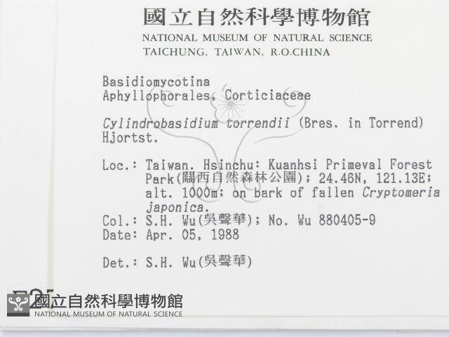 登錄號:F0002785藏品圖，第2張