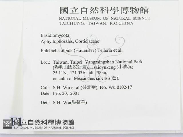 登錄號:F0012785藏品圖，第2張