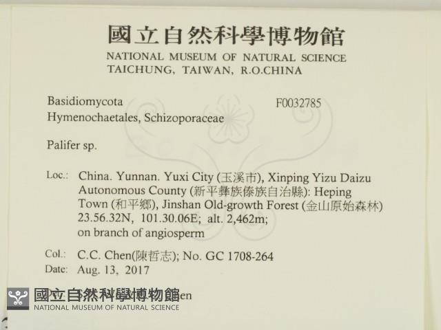 登錄號:F0032785藏品圖，第2張