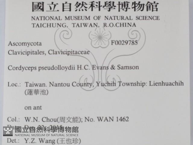 登錄號:F0029785藏品圖，第2張