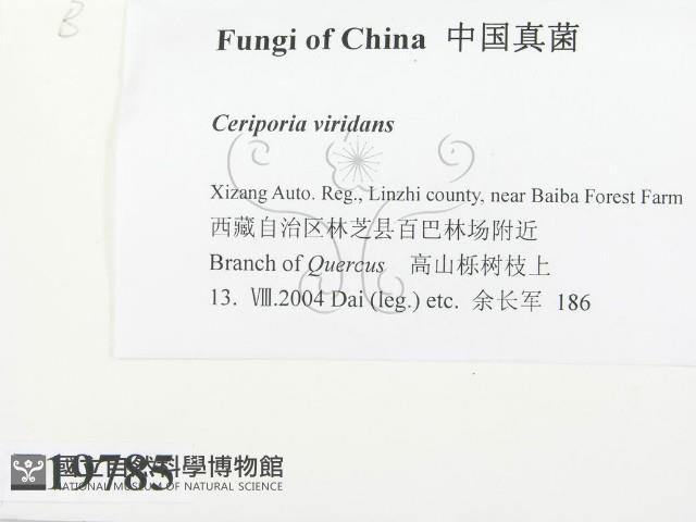 登錄號:F0019785藏品圖，第2張