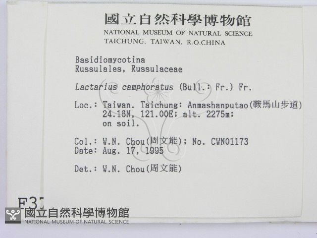 登錄號:F0003785藏品圖，第2張