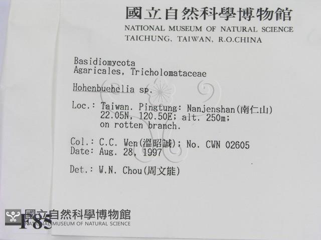 登錄號:F0008585藏品圖，第2張