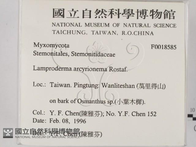 登錄號:F0018585藏品圖，第2張