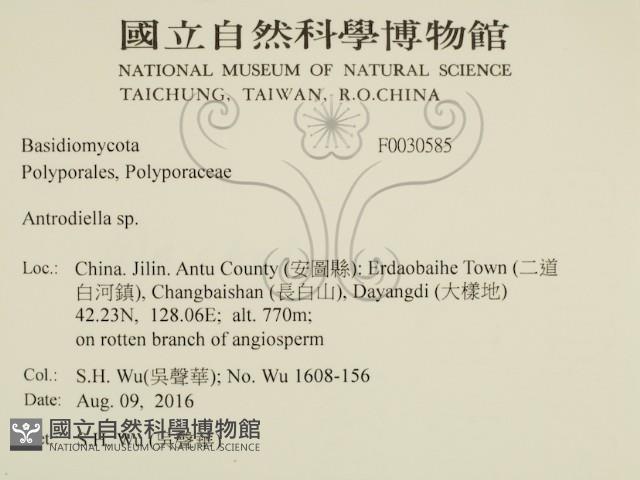 登錄號:F0030585藏品圖，第2張