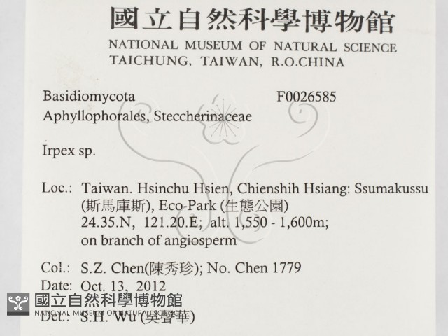 耙菌屬藏品圖，第2張