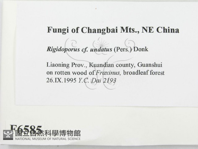 登錄號:F0006585藏品圖，第2張