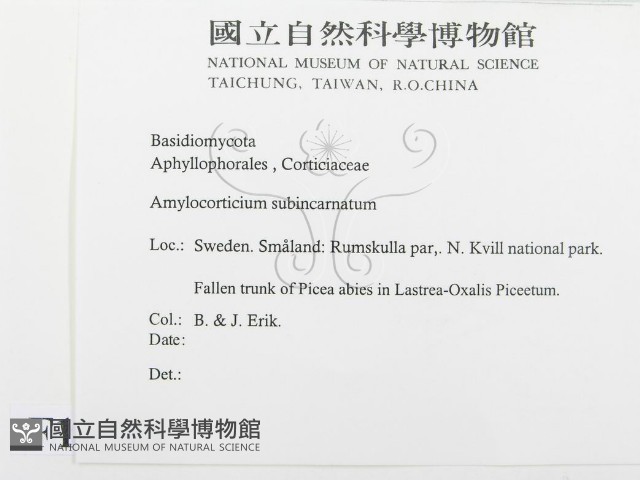 登錄號:F0016585藏品圖，第2張