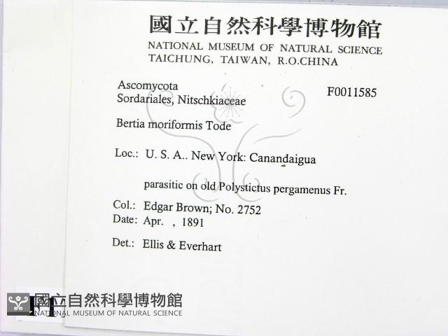 登錄號:F0011585藏品圖，第2張