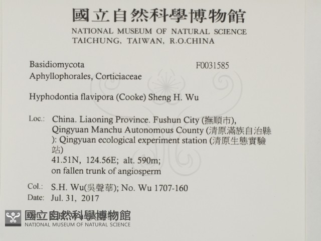 登錄號:F0031585藏品圖，第2張