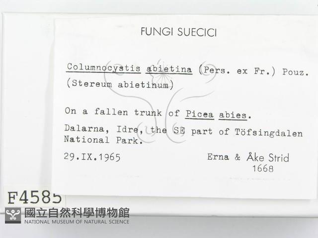 登錄號:F0004585藏品圖，第2張