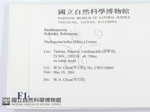 登錄號:F0014585藏品圖，第2張