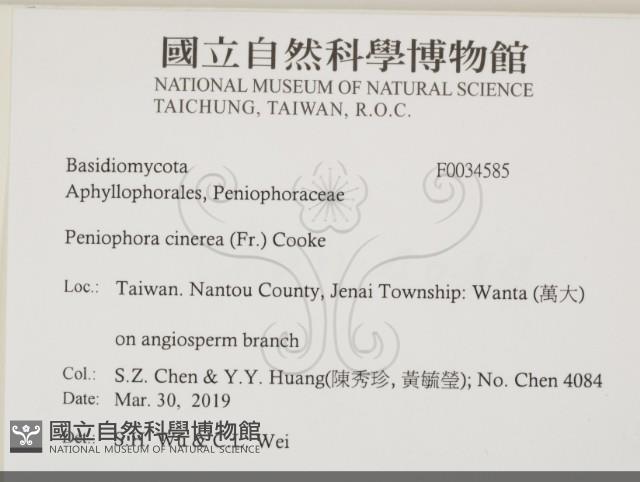 登錄號:F0034585藏品圖，第2張