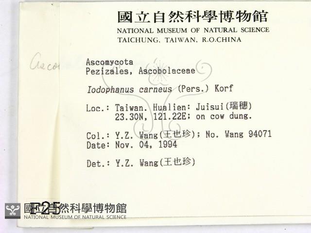 登錄號:F0002585藏品圖，第2張