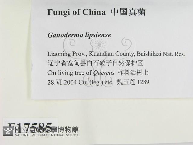 登錄號:F0017585藏品圖，第2張