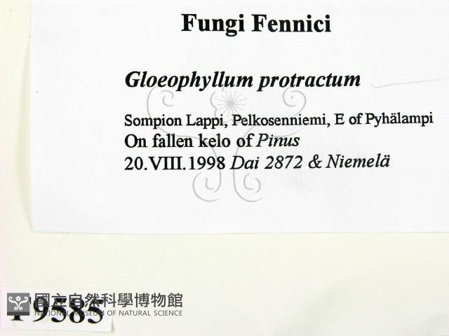 登錄號:F0009585藏品圖，第2張