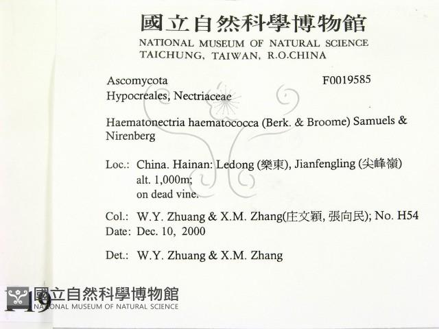 登錄號:F0019585藏品圖，第2張