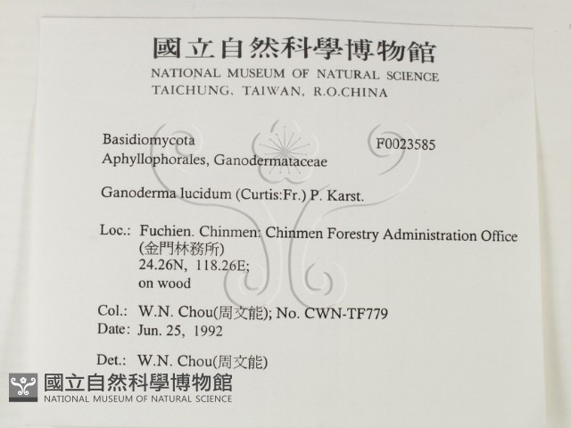 登錄號:F0023585藏品圖，第2張
