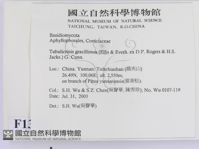 登錄號:F0013585藏品圖，第2張