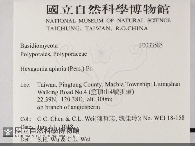 登錄號:F0033585藏品圖，第2張