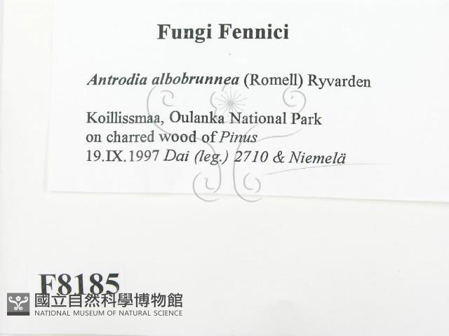 登錄號:F0008185藏品圖，第2張