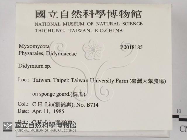登錄號:F0018185藏品圖，第2張