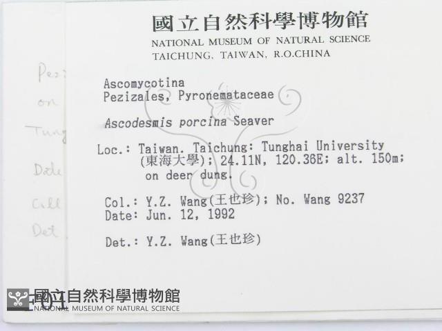 登錄號:F0000185藏品圖，第2張