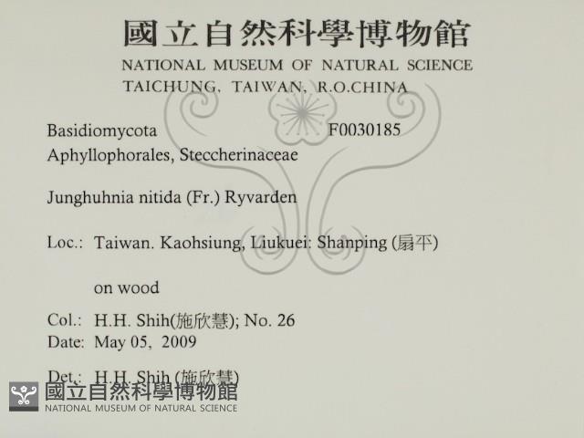 登錄號:F0030185藏品圖，第2張