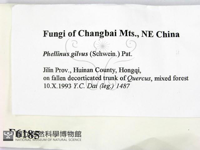 登錄號:F0006185藏品圖，第2張