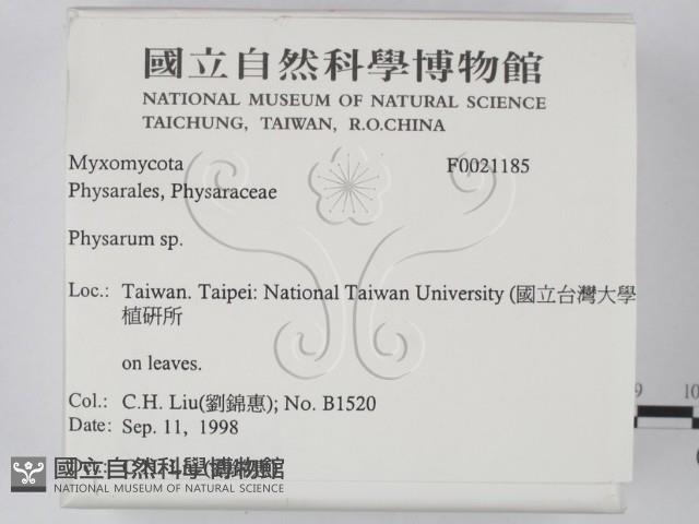 登錄號:F0021185藏品圖，第2張